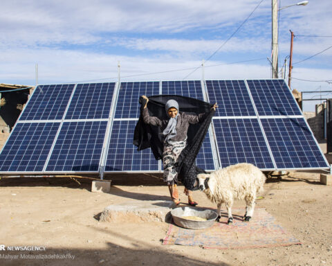 عکس: مهیار متولی‌زاده کاخکی/ مهر